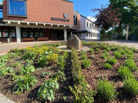 Auf ivd24 werden in hövelhof momentan 9 immobilien angeboten. Schöner und bienenfreundlicher - Gemeinde Hövelhof