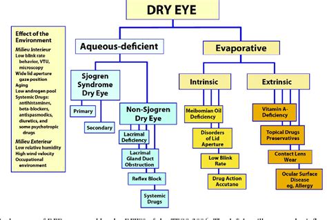 Figure 1 From Definition And Diagnostic Criteria Of Dry Eye Disease