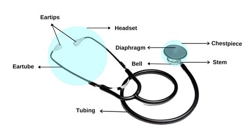 Parts Of Stethoscope A Comprehensive Overview