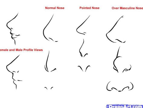 How To Draw Anime Noses Female Manga Nose Male Vs Female Manga Nose