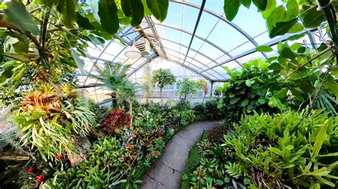 Allan Gardens Conservatory Botanical Gardens Toronto