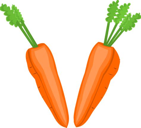 Free Cliparts Baby Carrots Download Free Cliparts Baby Carrots Png