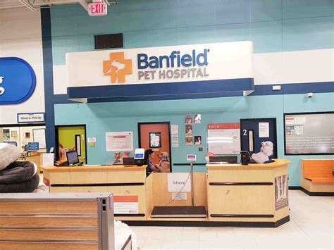 Banfield Pet Hospital Euthanasia Cost