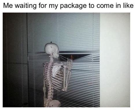 Me Waiting For My Package To Come In Like Funny Memes Daily Lol