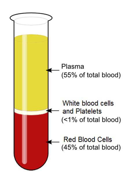Blood Centrifugation Scheme