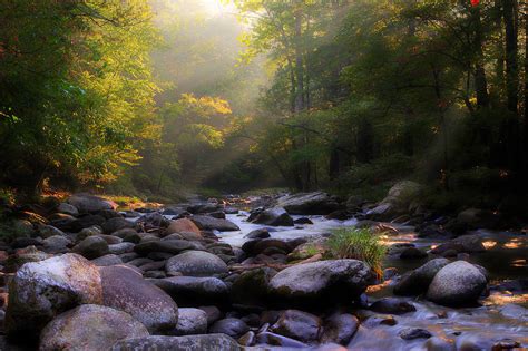 Smoky Mountain Stream Photograph By Michael Eingle