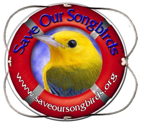 Save Our Songbirds Foundation