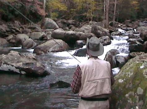 Fly Fishing On The Wilson Creek North Carolina The Perfect Fly Store