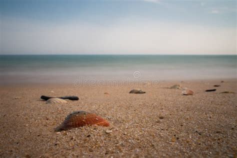 Playas Nudistas Del Algarve Portugal Foto De Archivo Imagen De Shelles Playas