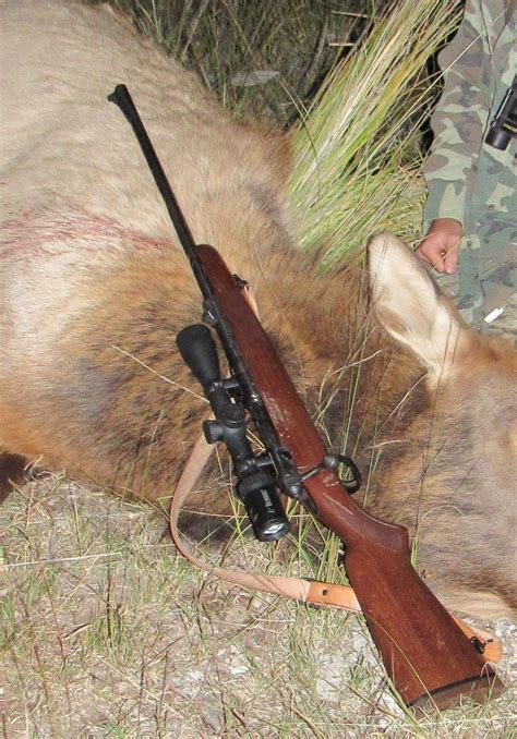 Best Elk Hunting Rifle For Youth Top 3 Considerations Elk Hunters Guide