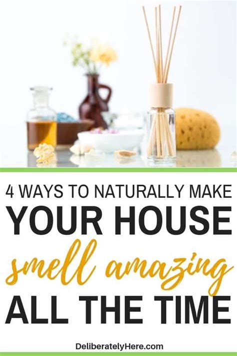 4 Unique Ways How To Make Your House Smell Good All The Time