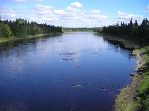 We did not find results for: St. John River Canoe Trips | Allagash Guide Service
