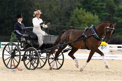 Usef Advanced Single Horse Combined Driving National Championship Up