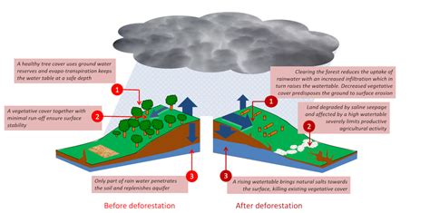 Land Salinization Encyclopedia Of The Environment