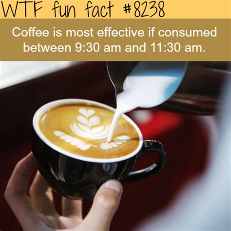 Best Time To Drink Coffee Wtf Fun Facts Wtf Fun Facts Fun Facts