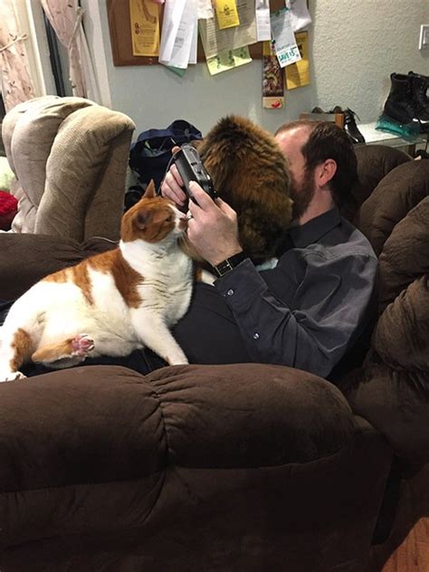 15 Adorable Personal Space Invading Cats