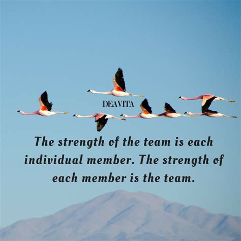 The Best Inspirational And Motivational Teamwork Quotes With Photos