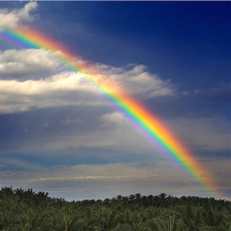 49 Natural Rainbow Wallpaper