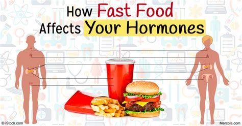 The Negative Effects Of Fast Food On Your Health The Gray Tower