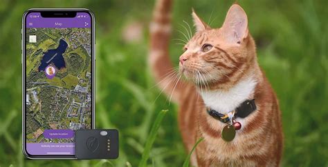 Cats are small, and a lot of gps pet trackers, for some reason, are meant for dogs (and larger dogs at that). Cat Tracker - Worlds smallest GPS tracker for cats with ...