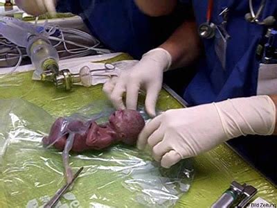 Bahasa jiwa bangsa bahasa ialah semanagt sesuatu bangsa penduduk negara ini sangat megah menggunakan bahasa kebangsaan mereka kerana bahasa jiwa bangsa. Ilmu Pelita Hidup: January 2012