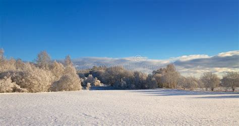 Countryside With Snow Stock Photo Image Of Background 93184216