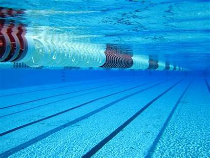 Swimming Pool Olympic Pc Wallpapersafari Tattoos Android
