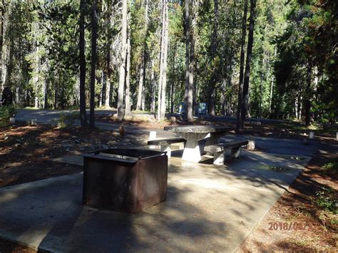 Site 022 Lodgepole Campground Wa