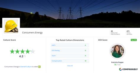 Consumers Energy Culture Comparably