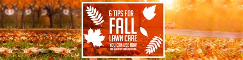 6 Fall Lawn Maintenance Tips You Can Use Now