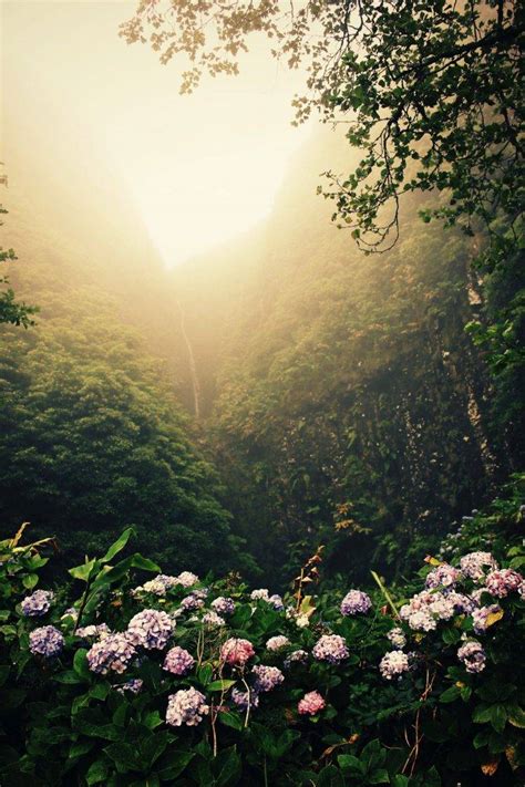 Nature wallpapers hd full hd, hdtv, fhd, 1080p 1920x1080 sort wallpapers by: nature, Photography, Portrait display Wallpapers HD ...