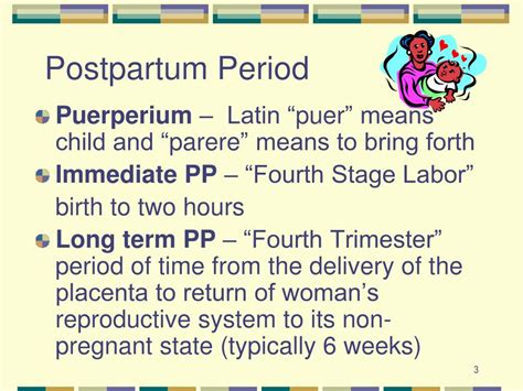 Ppt Post Partum Care And Teaching Powerpoint Presentation Free