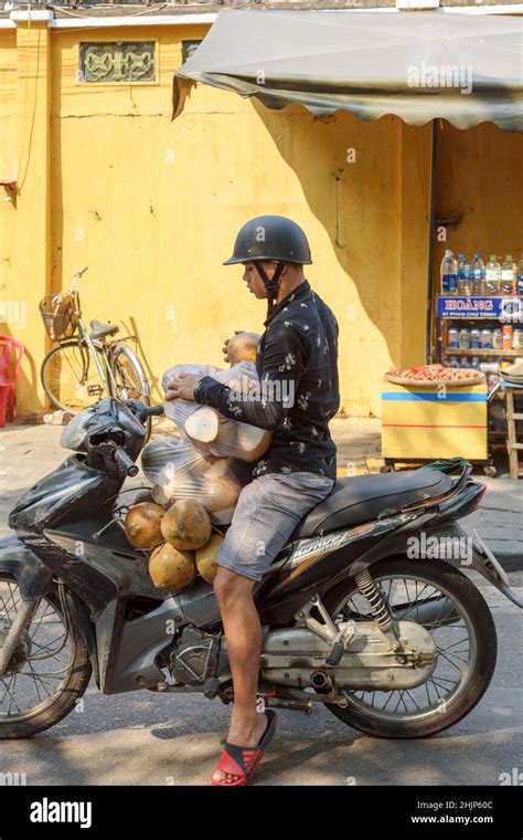 A Young Vietnamese Man Rides A Motorbike Laden With Coconuts In Hoi An