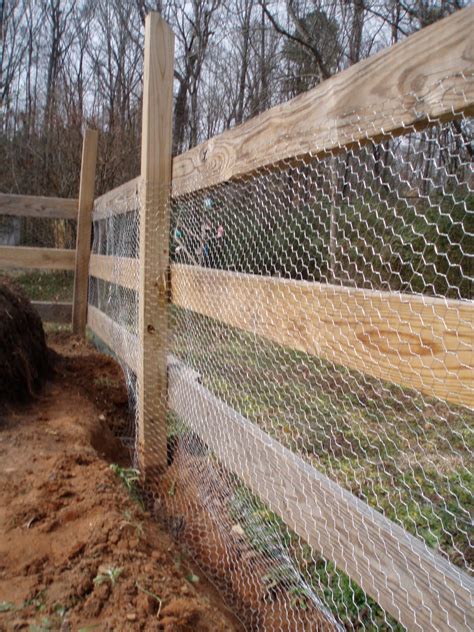 Better to ensure this in the start otherwise you will have to pull out the staples, turn the wire, and perform the chicken wire attachment process again. New College Farm Program: Rabbit Proof Fence