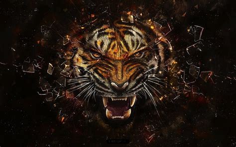 Tiger Animal Scary Glass Hd Wallpaper Peakpx
