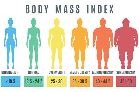 Female Body Mass Index Normal Weight Obesity And Overweight Illustrat