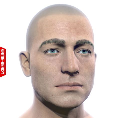 Average Caucasian Male Head 3d Model 3d Model Model Male