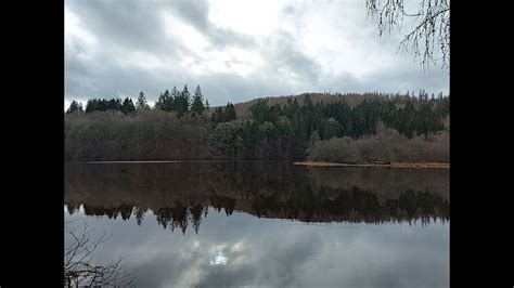 Faskally Forest Loch Faskally And The Enchanted Forest Pitlochry