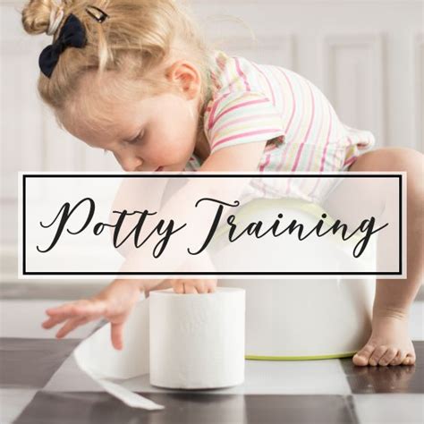 5 Most Effective Potty Training Tips Potty Training Tips Toddler