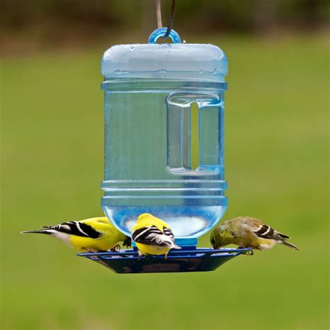 Bird Waterers Are Essential To Create A Backyard Haven For Your