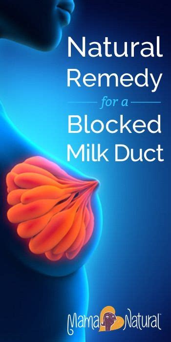 How To Relieve And Prevent Clogged Milk Ducts The Natural Way Blocked Milk Duct Breastfeeding