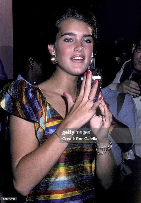 Actress Brooke Shields Attends The Endless Love Premiere Party On