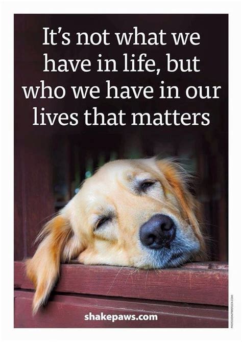 Friendship Dog Life Dog Quotes Dog Love