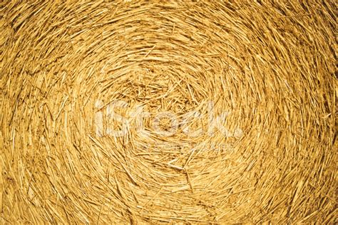 Hay Bale Texture Background Stock Photo Royalty Free Freeimages