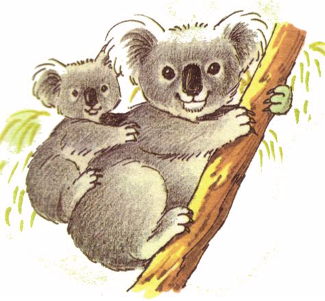 Animal Clip Arts Bear Paintings Koala Drawing Bear Art