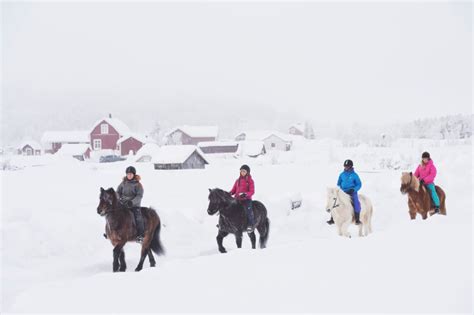 How To Survive Winter In Sweden Study In Sweden