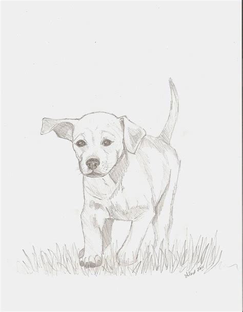 Puppies Are Cute By Alexandra658590 On Deviantart Animal Drawings