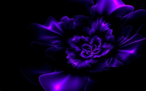 Purple Fractal Flower Black Background Hd Purple Wallpapers Hd
