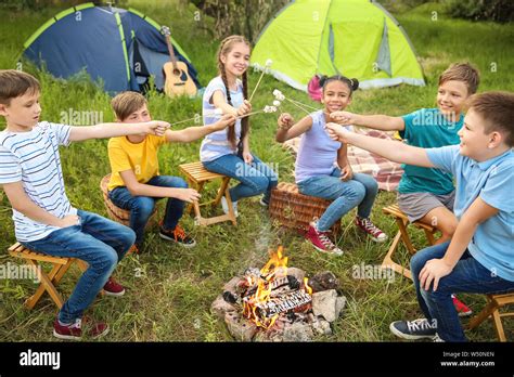 Children Roasting Marshmallow On Fire At Summer Camp Stock Photo Alamy