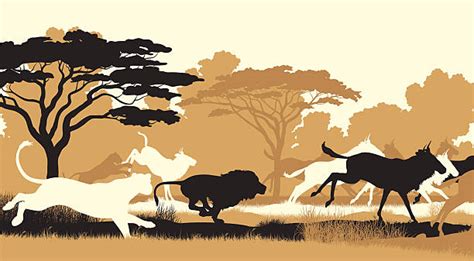 Lion Hunting Illustrations Royalty Free Vector Graphics And Clip Art